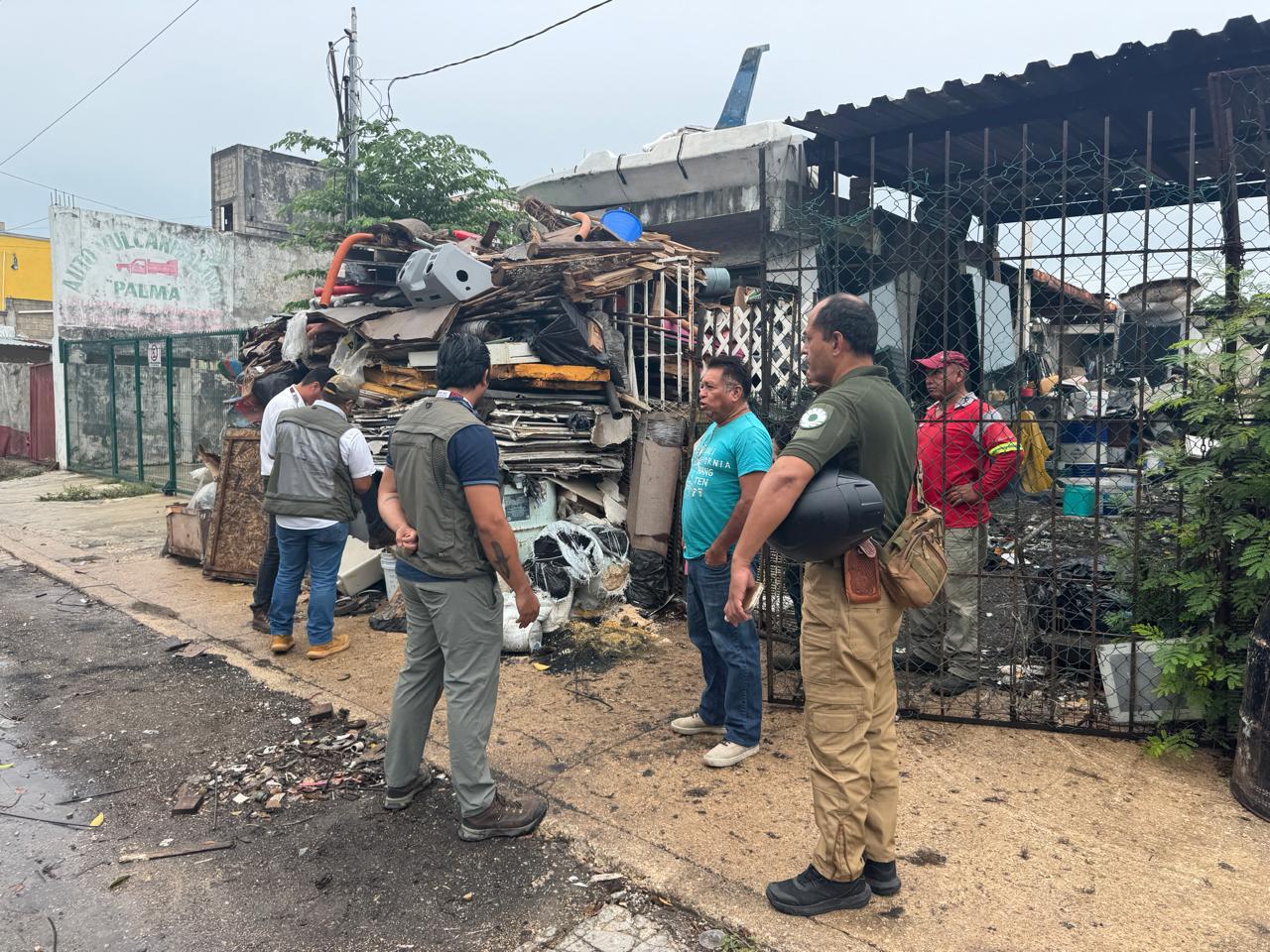 uploads/6/32/01 (2336).Jpeg